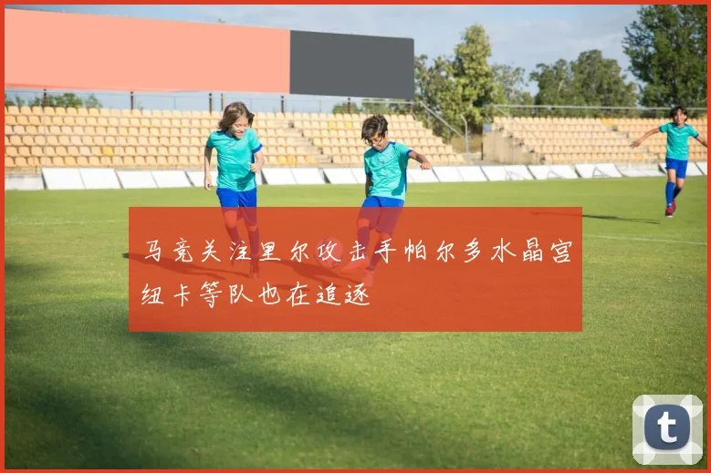 马竞关注里尔攻击手帕尔多水晶宫纽卡等队也在追逐